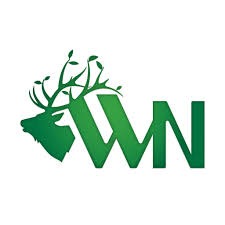 Wild Nature